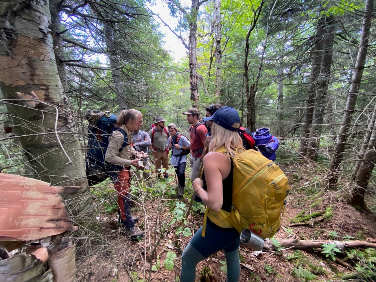 Survivre en forêt en se «perdant» dans les Laurentides avec Kanatha-Aki