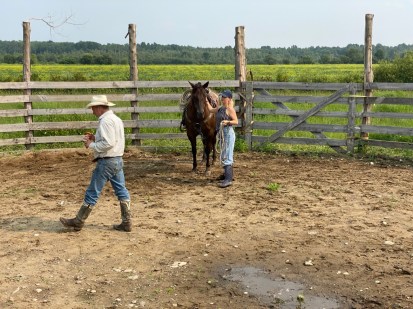 chevaux