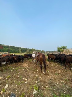 Quelques forfaits équestres sont proposés au ranch Des sabots et des ailes.