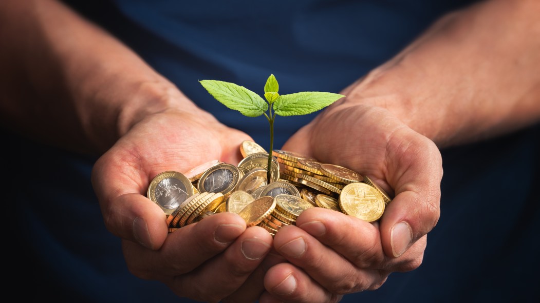 Des mains tiennent une jeune pousse verte symbolisant la finance durable et pro environnement.