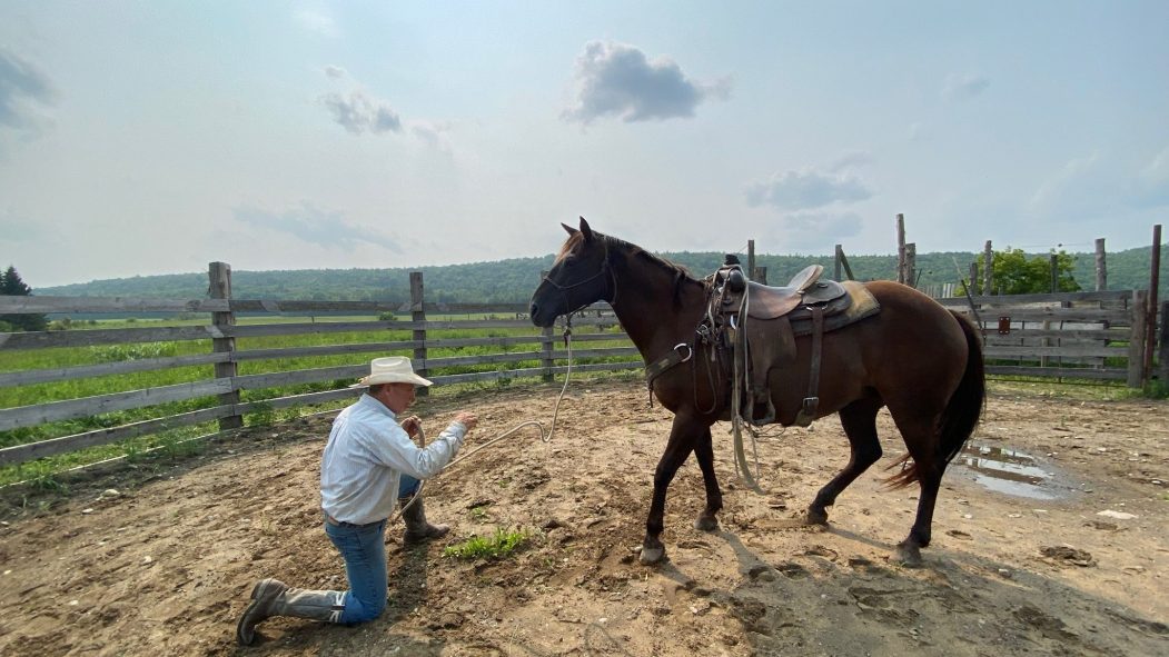 Quelques forfaits équestres sont proposés au ranch Des sabots et des ailes.