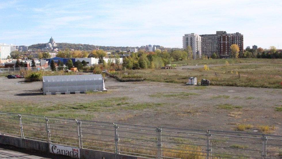 Un terrain vague du site Namur-Hippodrome où doit avoir lieu un vaste chantier de logements abordables.