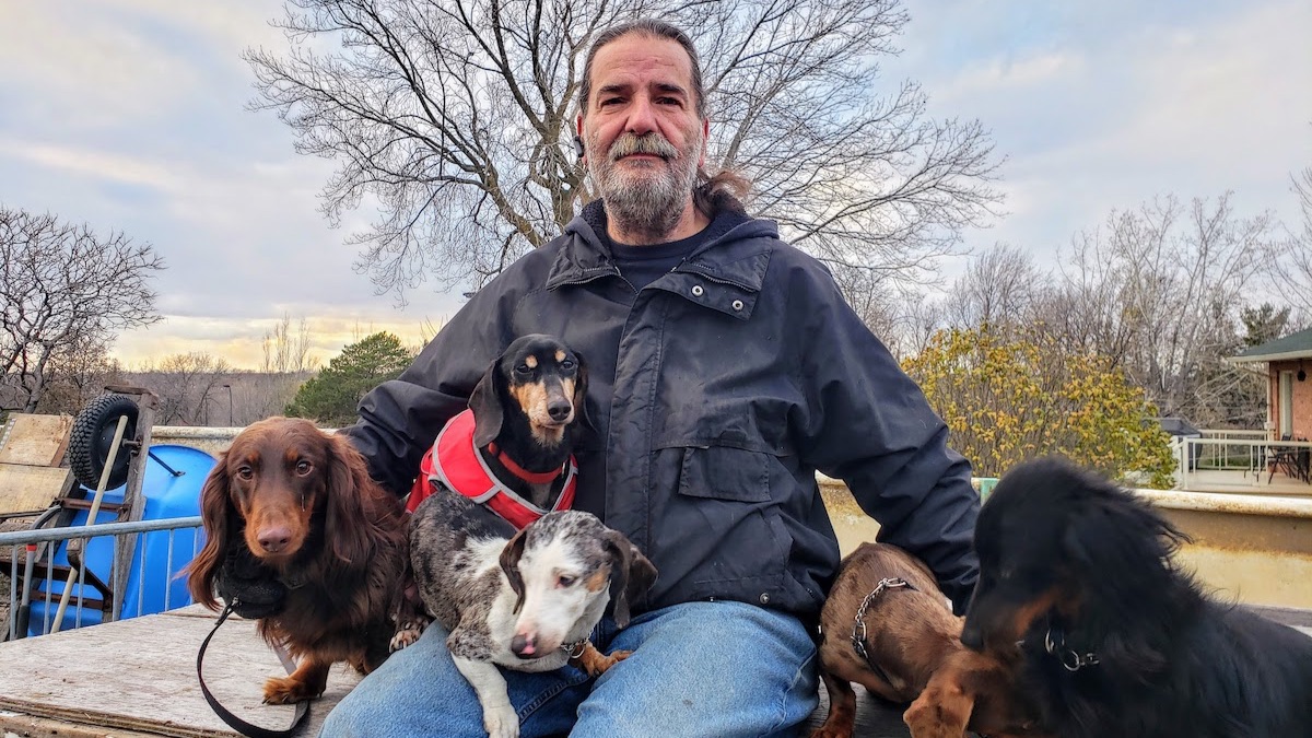 un comportementaliste avec des animaux abandonnés