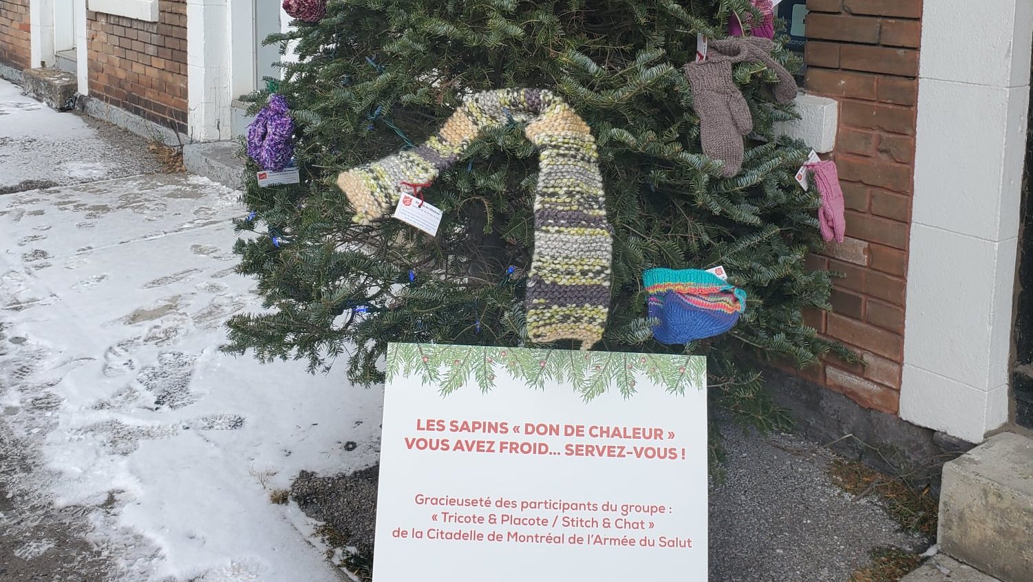 Sapins Don de chaleur Monk