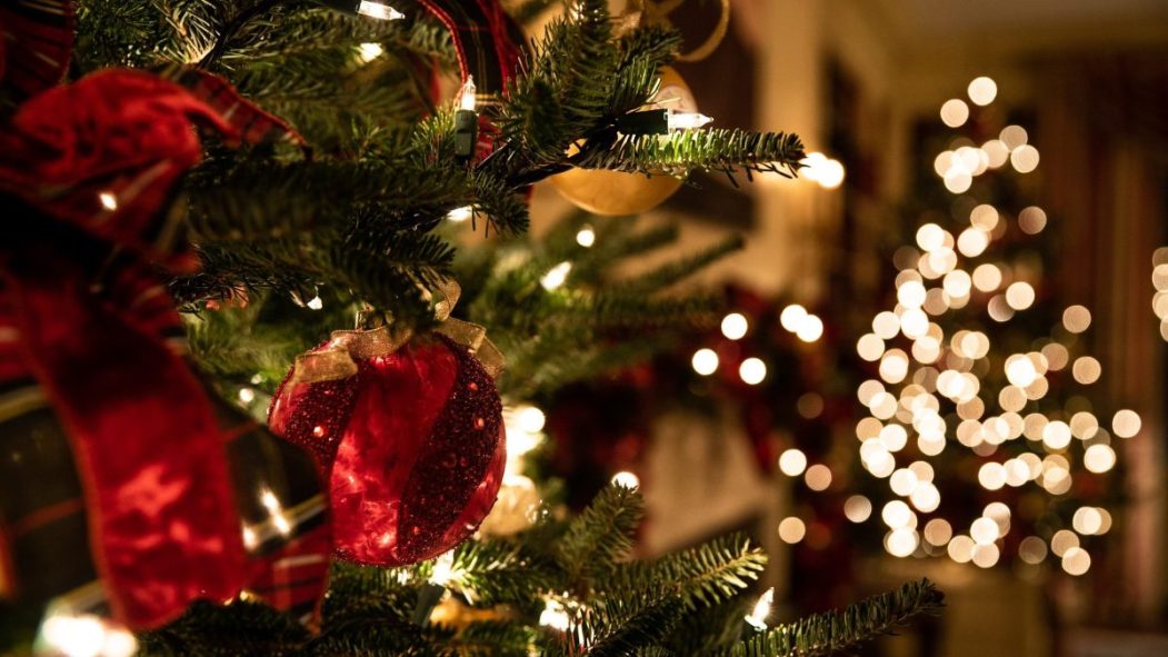 sapin naturel artificiel