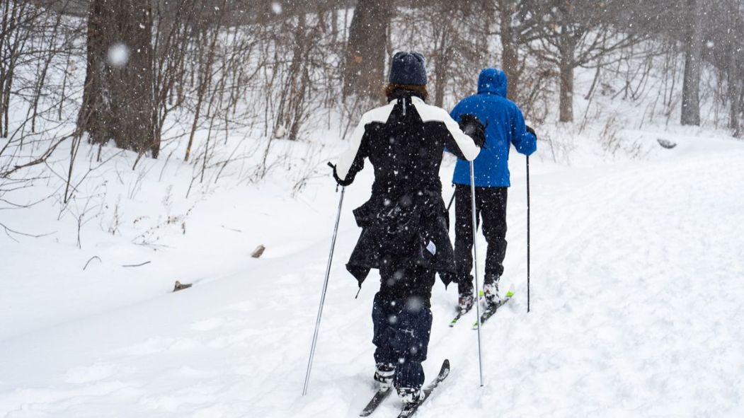 Ski de fond