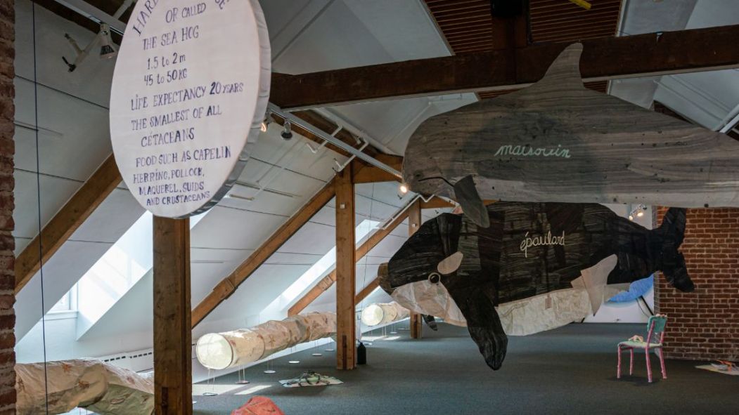 baleines exposition