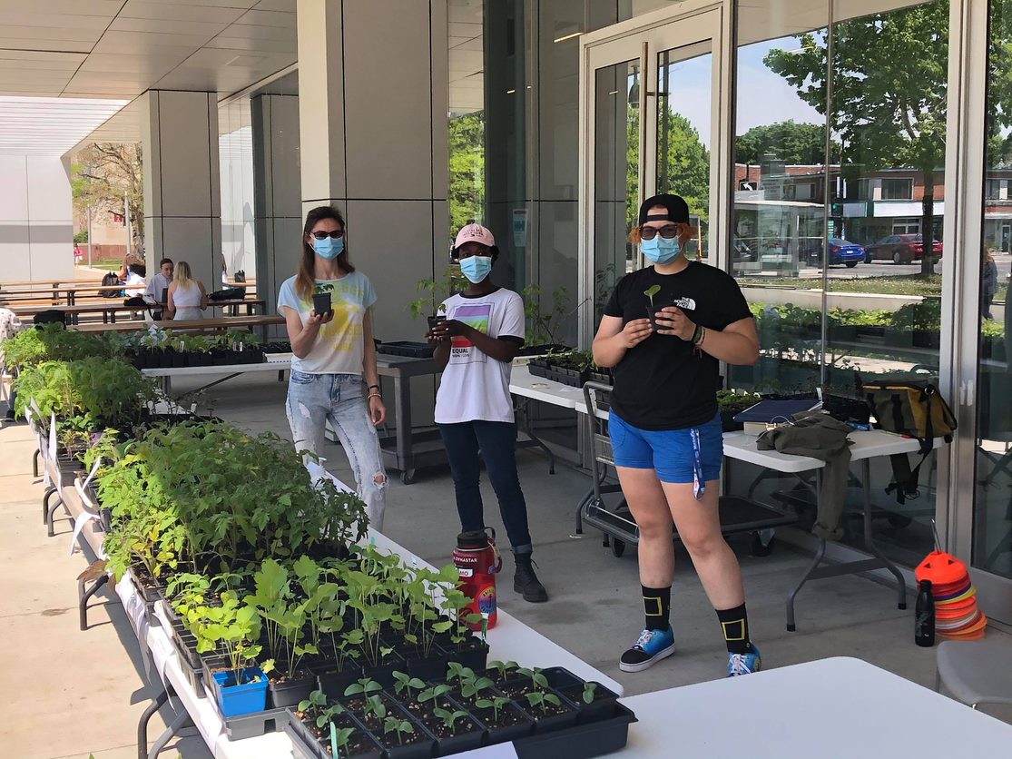 Des étudiantes prennent part au projet de production de semis au sein du Collège Ahuntsic.