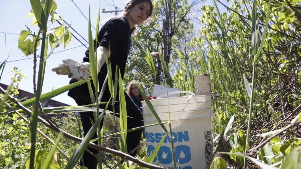 Olivia Jacques, une élève ramasse des déchets dans le ruisseau.