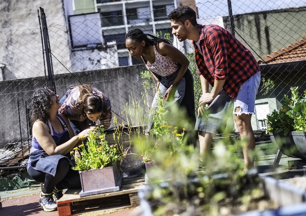 quatre personnes dans une ferme urbaine