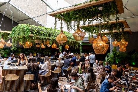 Terrasse Greenwood à Montréal