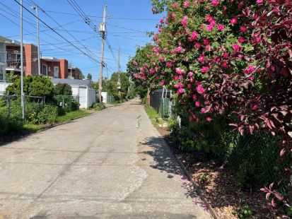 Ruelle verte Godin-Brown