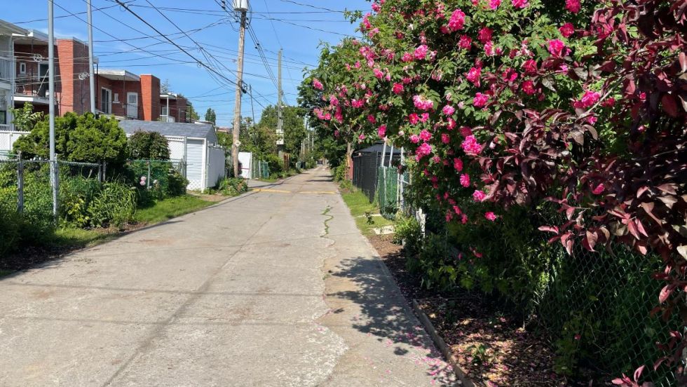 Ruelle verte Godin-Brown