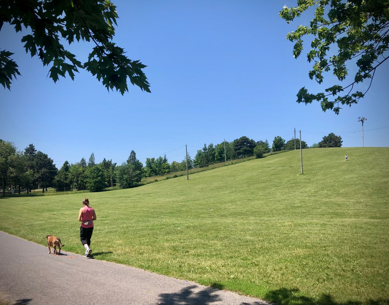 Parc des hirondelles