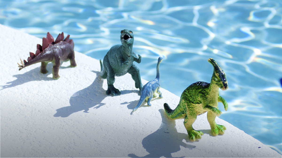 Piscines extérieures