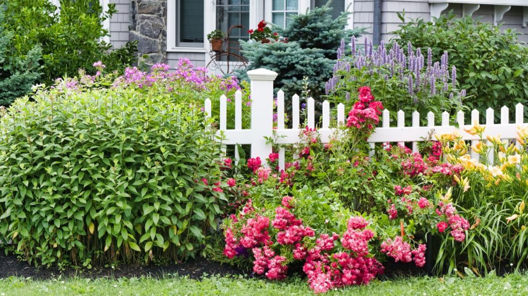 Un jardin fleuri.