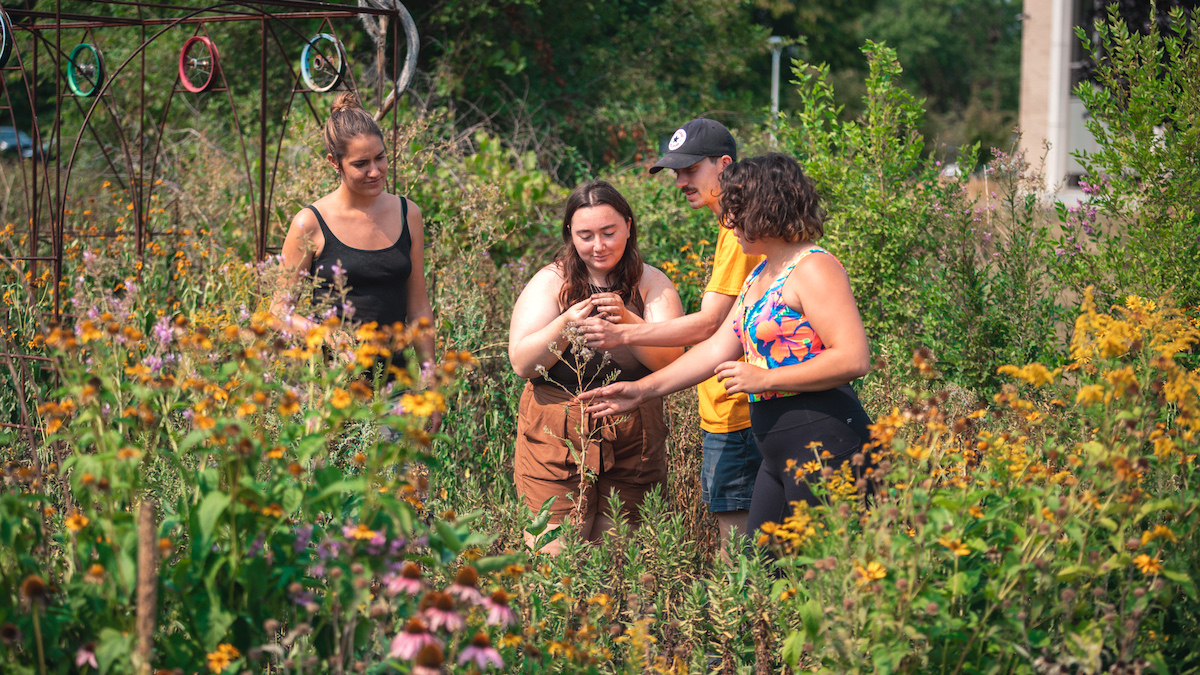 Ce 1er jardin collectif dans RDP-PAT est devenu un jardin éducatif, solidaire et expérimental.