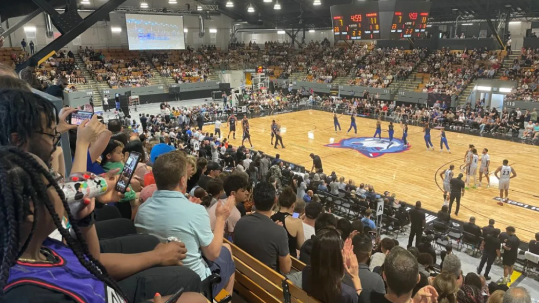 Alliance mtl