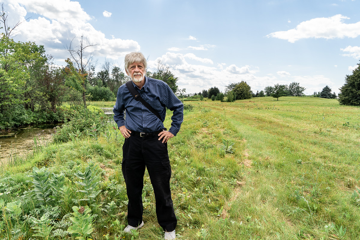 David Fletcher, de la Coalition verte, observe les dégats causé par la coupe dans plusieurs hectares du Champ des Monarques, situé dans le Technoparc À sa gauche, des plants font plus d'un pied de hauteur, alors qu'à sa droite, le terrain a été rasé.