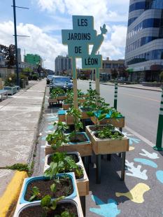 Les jardins de Léon.