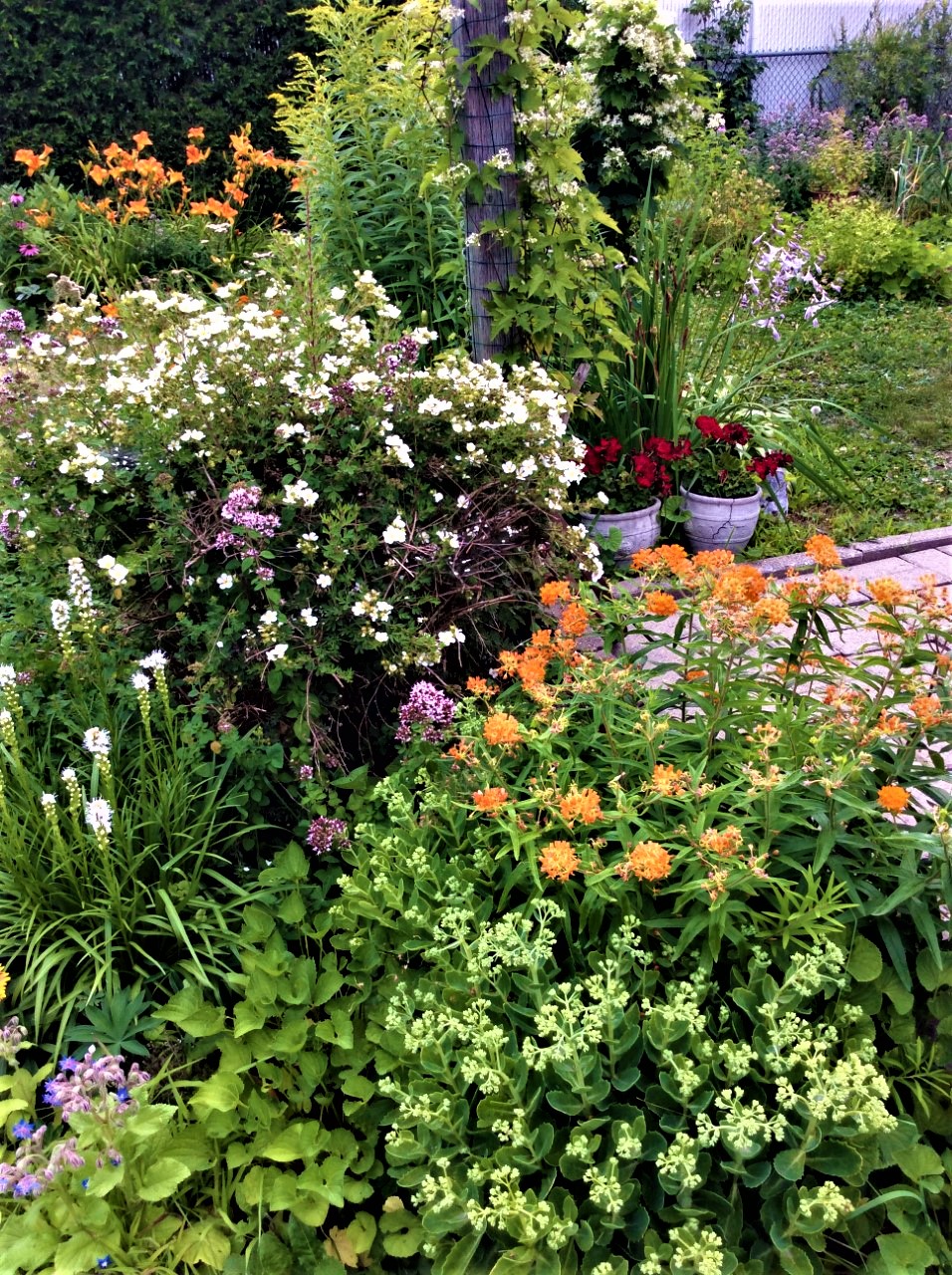 Le jardin d’Elaine Bertrand, résidante de Saint-Léonard