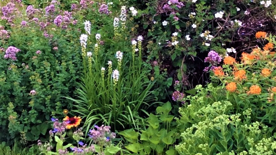 Le jardin d’Elaine Bertrand, résidante de Saint-Léonard