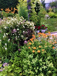 Le jardin d’Elaine Bertrand, résidante de Saint-Léonard