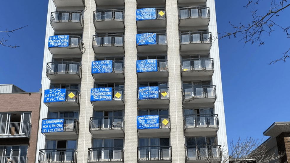 rénovictions crise du logement