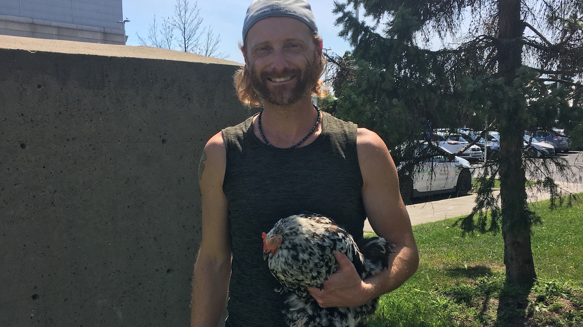 La poule Mémé et Martin Boisvert