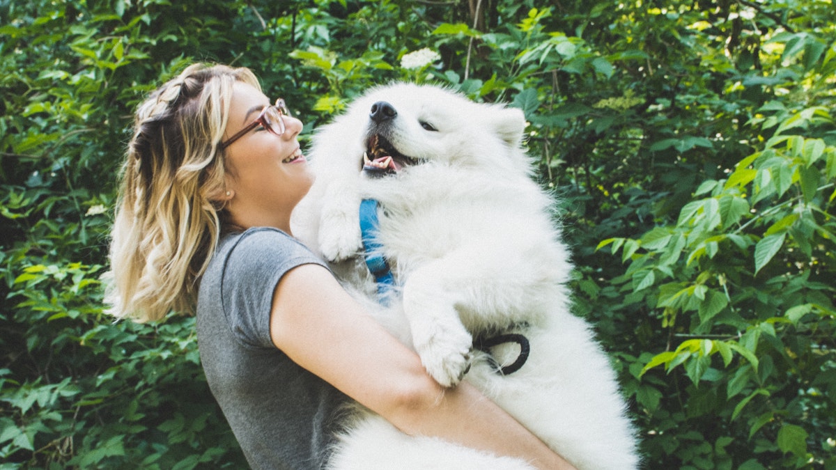 Journée mondiale des chiens