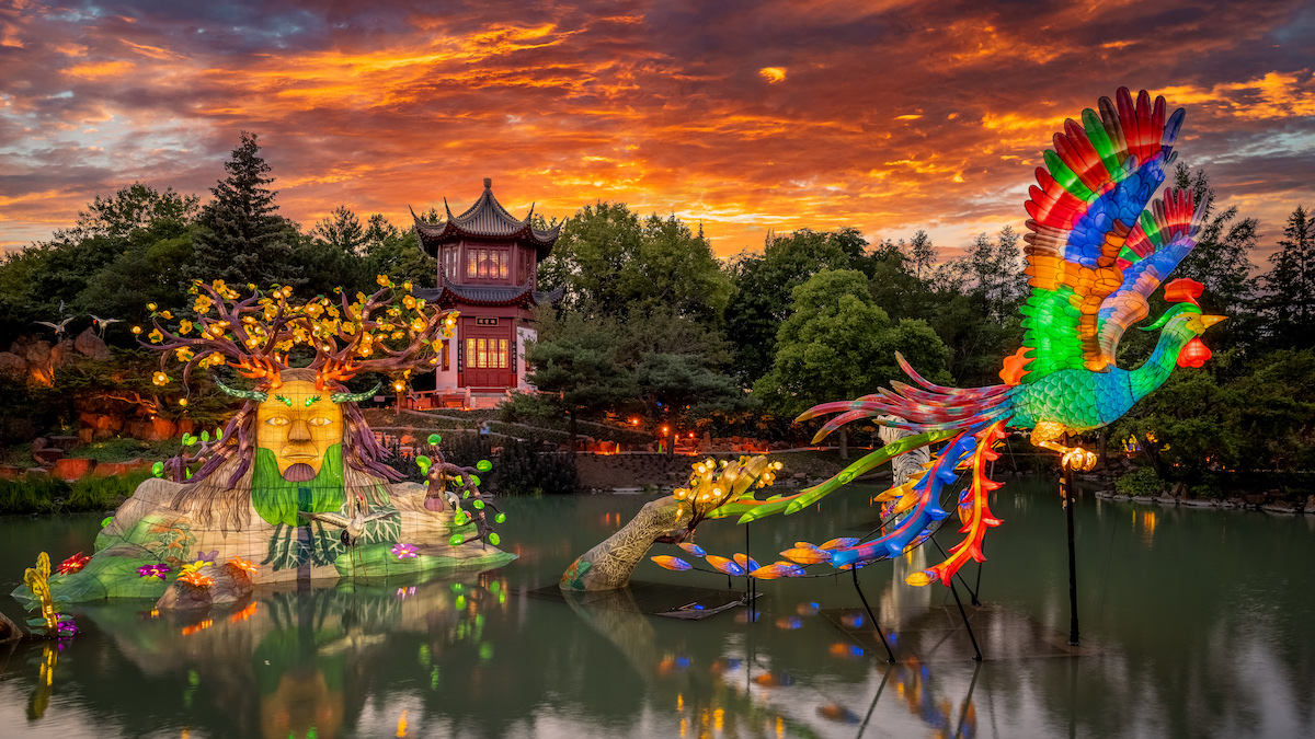 Le Jardin de Chine des Jardins de lumière