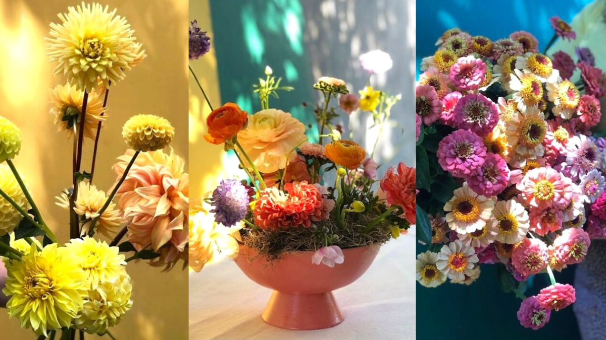 Astuces pour conserver ses fleurs