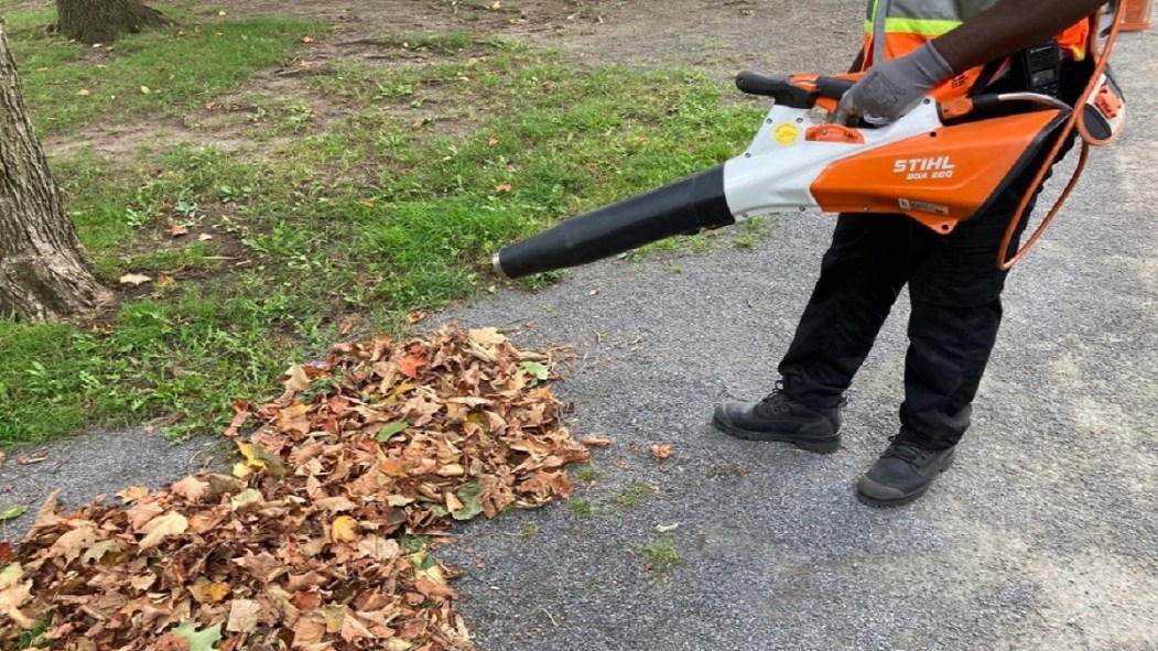 Souffleur à feuilles