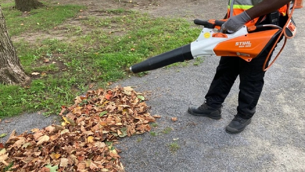 Souffleur à feuilles