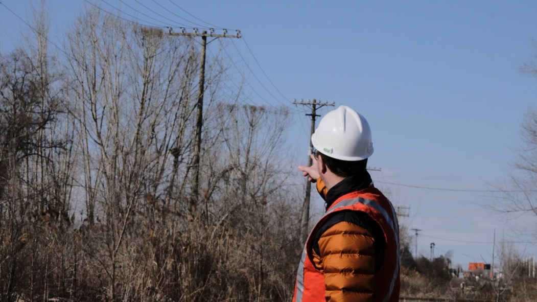 La cime de ces arbres a été coupée par la ligne électrique.